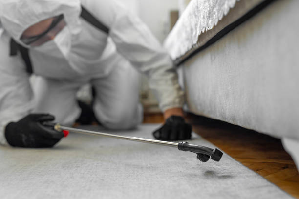 Professional Termite Control technician working in Boone County County, MO